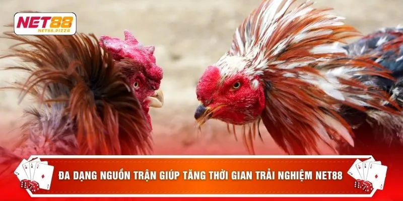 Đá gà Net88 5 Đa dạng nguồn trận giúp tăng thời gian trải nghiệm NET88