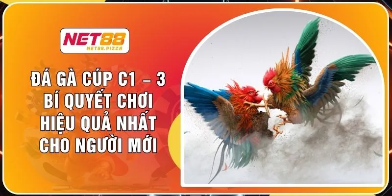 Đá Gà Cúp C1 – 3 Bí Quyết Chơi Hiệu Quả Nhất Cho Người Mới 1 Đá Gà Cúp C1 – 3 Bí Quyết Chơi Hiệu Quả Nhất Cho Người Mới