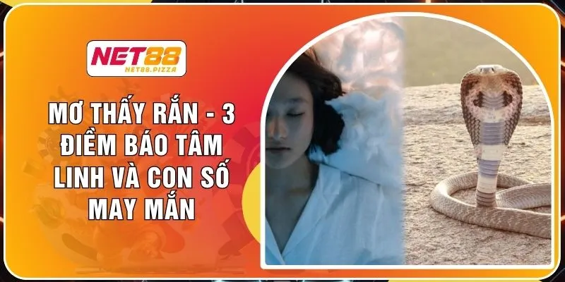 Mơ Thấy Rắn - 3 Điềm Báo Tâm Linh Và Con Số May Mắn 1 Mơ Thấy Rắn - 3 Điềm Báo Tâm Linh Và Con Số May Mắn