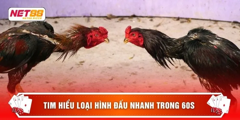 Đá gà Net88 4 Tim hiểu loại hình Đấu Nhanh trong 60s