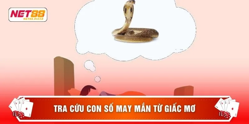Mơ Thấy Rắn - 3 Điềm Báo Tâm Linh Và Con Số May Mắn 3 Tra cứu con số may mắn từ giấc mơ