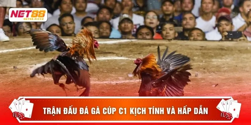 Đá Gà Cúp C1 – 3 Bí Quyết Chơi Hiệu Quả Nhất Cho Người Mới 2 Trận đấu Đá gà cúp C1 kịch tính và hấp dẫn