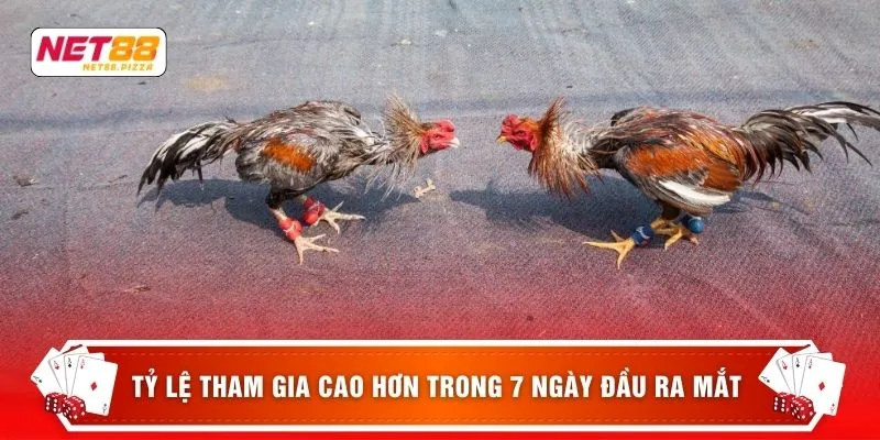 Đá gà Net88 2 Tỷ lệ tham gia cao hơn trong 7 ngày đầu ra mắt