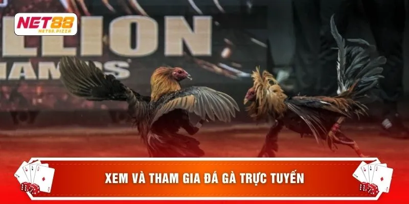 Đá Gà Cúp C1 – 3 Bí Quyết Chơi Hiệu Quả Nhất Cho Người Mới 3 Xem và tham gia đá gà trực tuyến